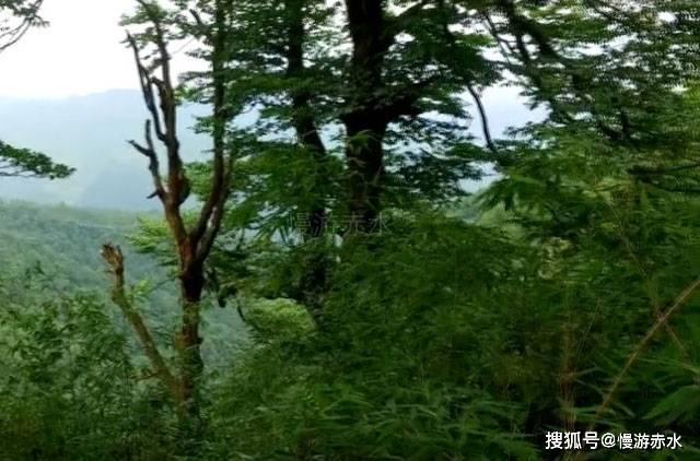 皇室派对夜