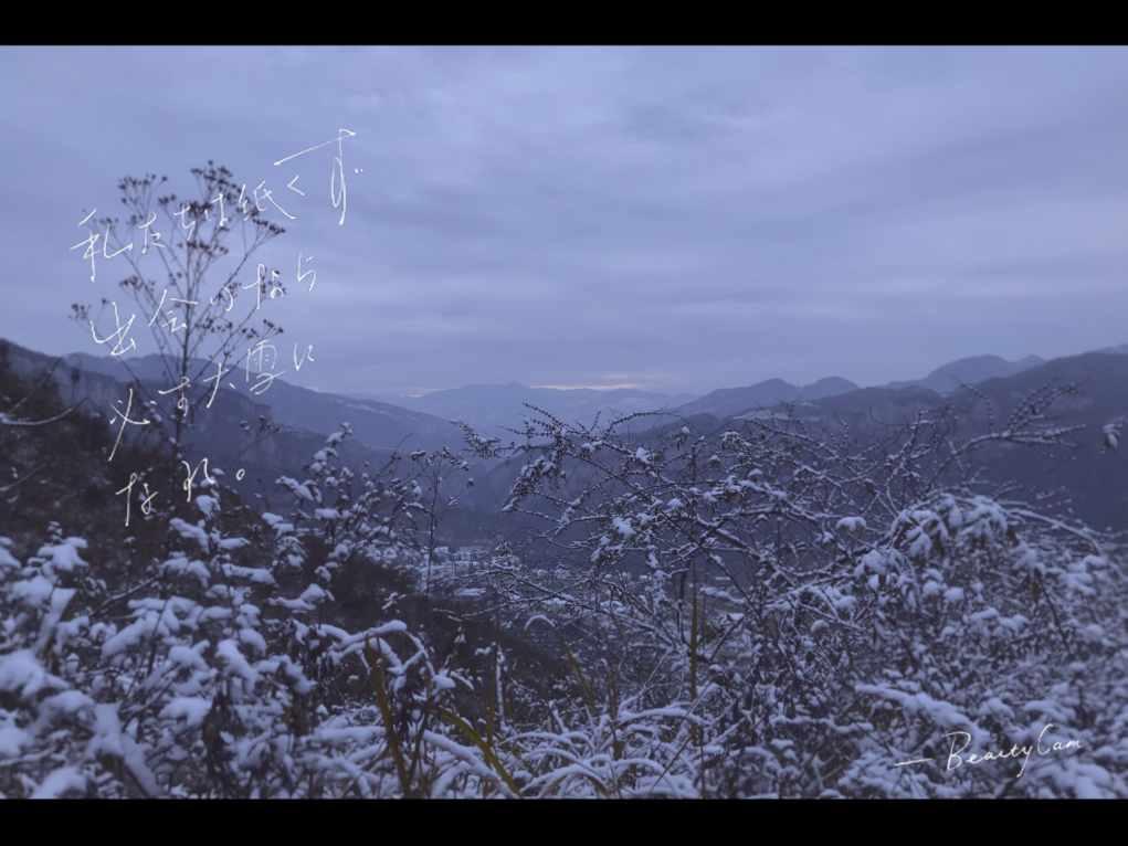 玩具熊五夜后宫4